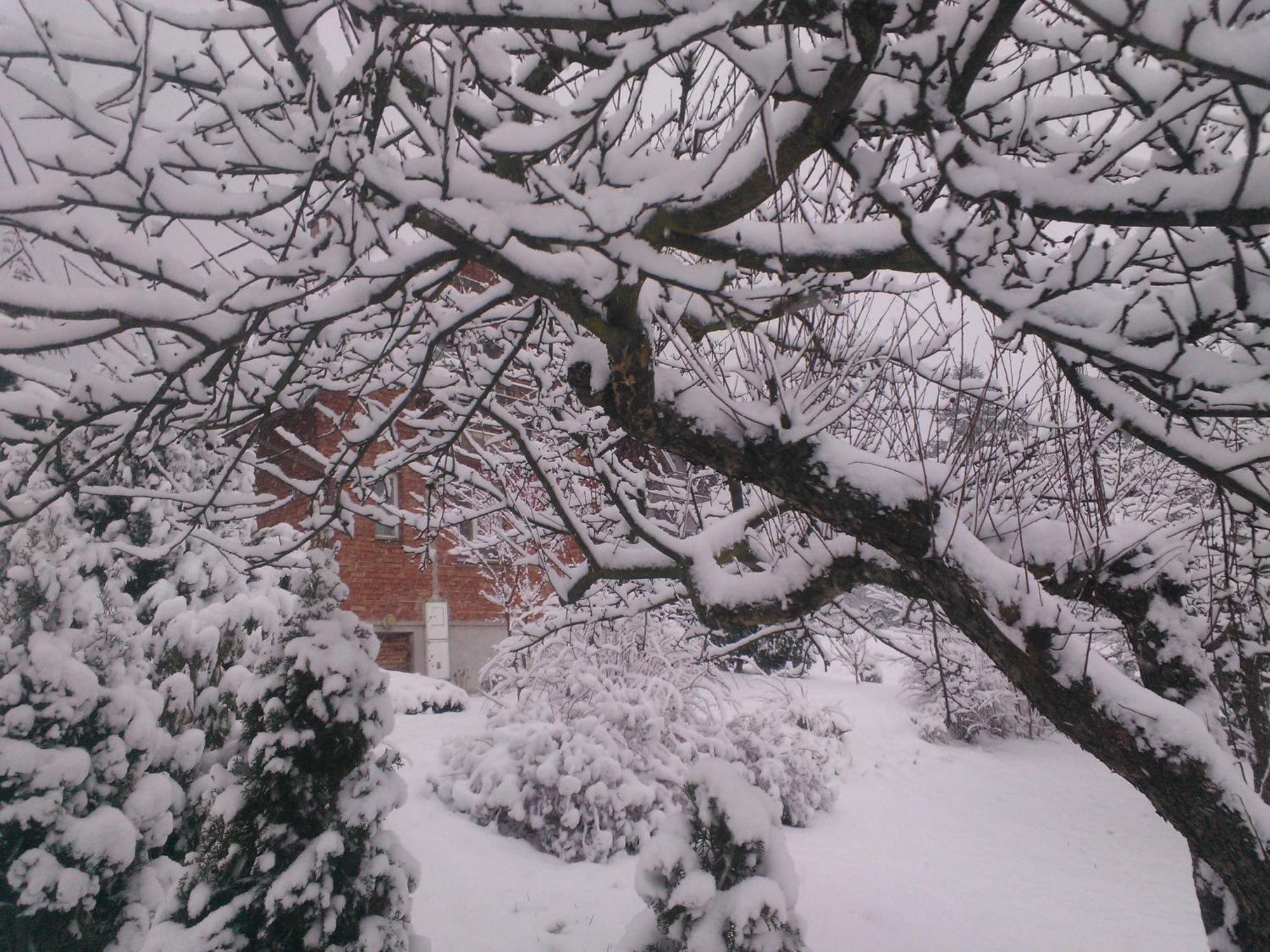 A Summer House Zarabie Domek Letniskowy Zarabie Βίλα Myślenice Εξωτερικό φωτογραφία
